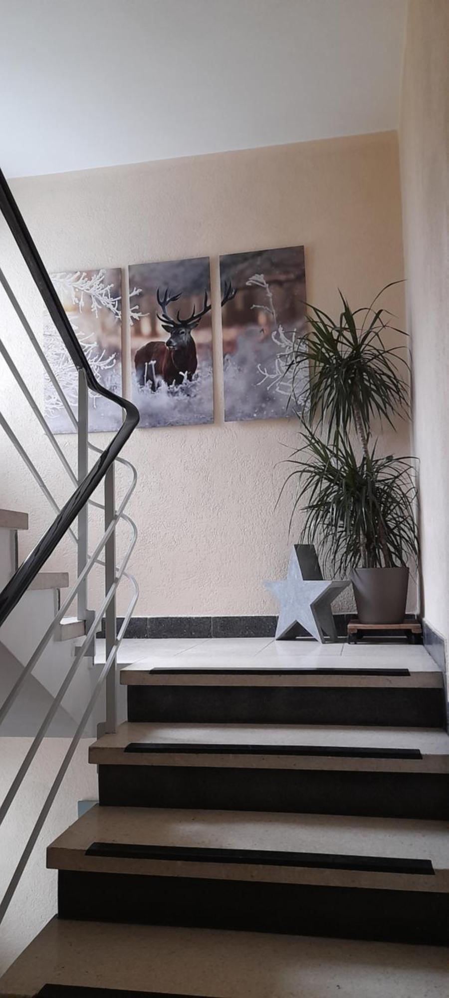 Apartments Panoramablick 가이슬링겐스타이게 외부 사진
